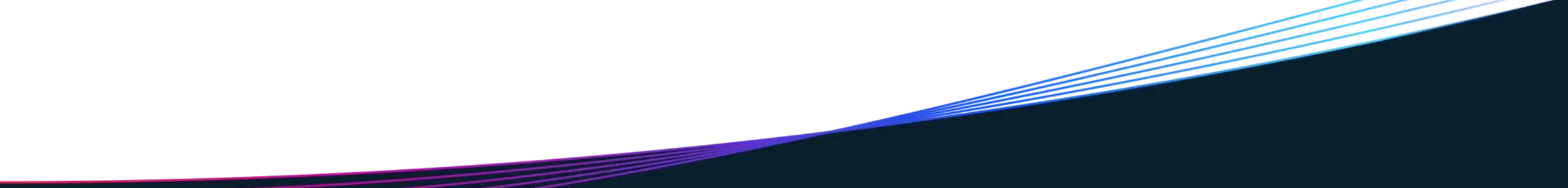 mag x nuvei (2500 x 300 px)